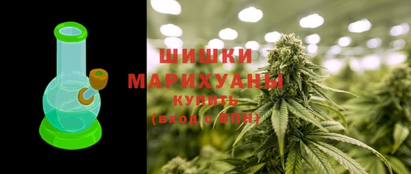 spice Вяземский