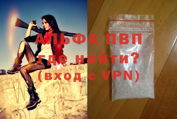 spice Вяземский