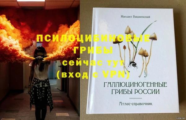 spice Вяземский