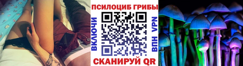 Псилоцибиновые грибы Magic Shrooms  Купить закладки  Нижняя Тура 